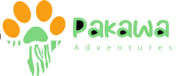Pakawa-adventures-ai