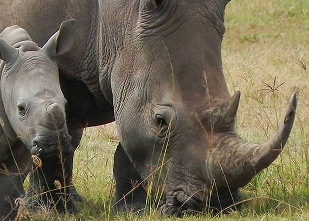 4 days Masai Mara